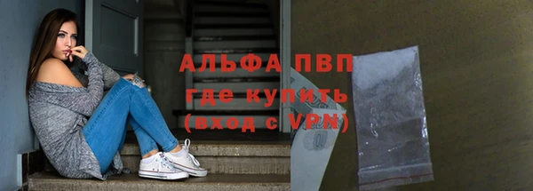 гашик Коряжма