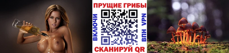 купить МЕГА как войти Галлюциногенные грибы Magic Shrooms Правдинск